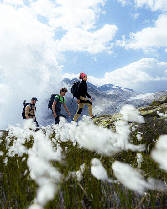 What is Trekking? Definition, types and differences