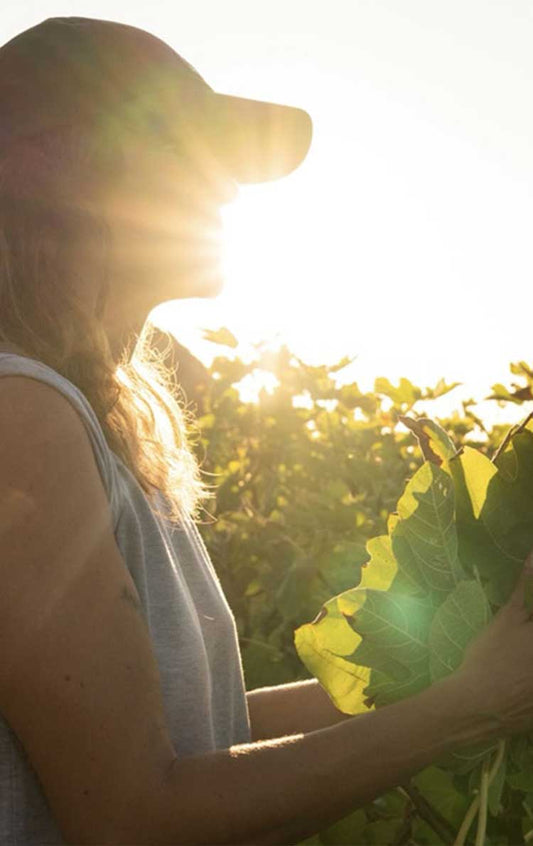 Paddling along the Coghinas River