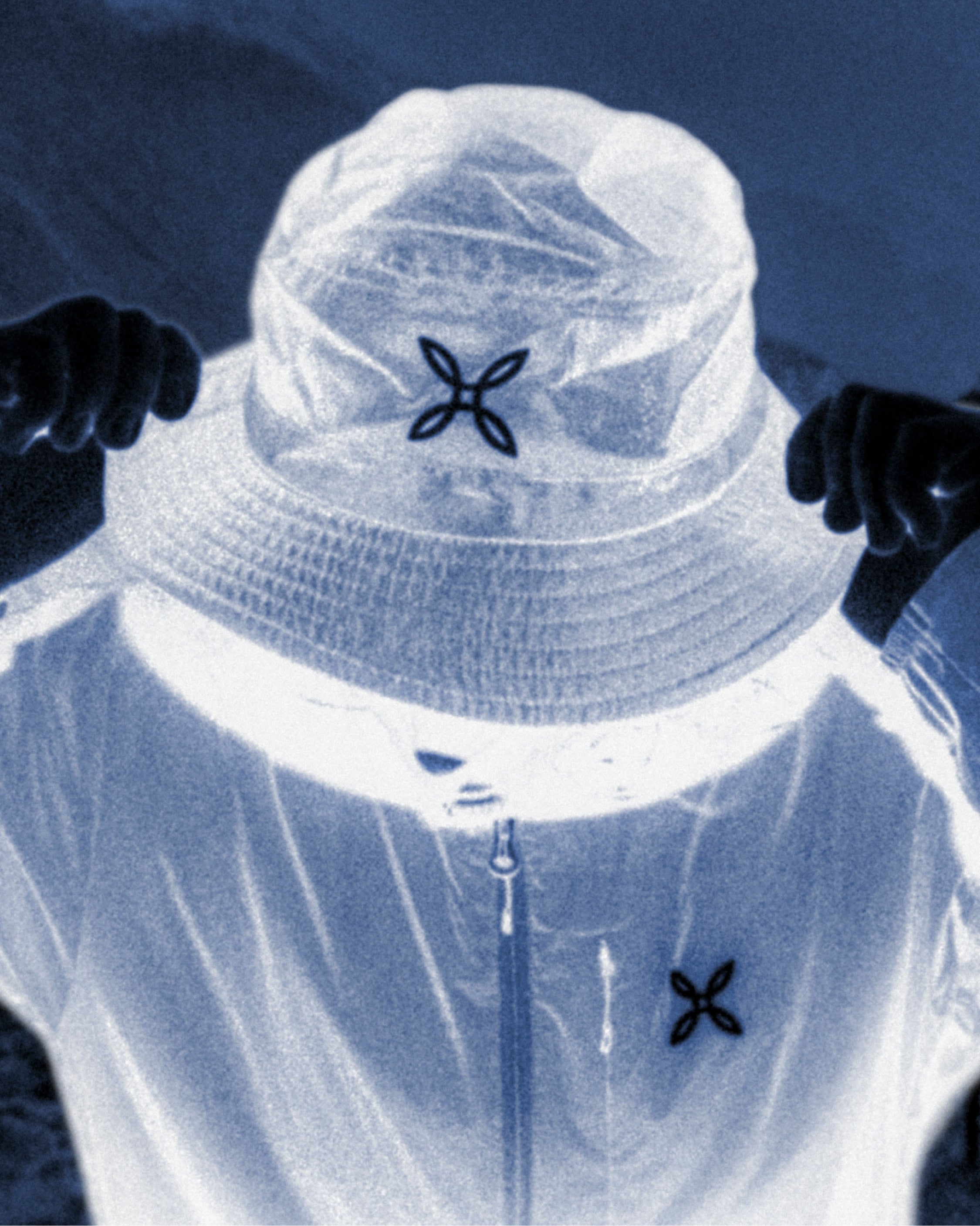 Sarro family history and genealogy, image size:2250x2813