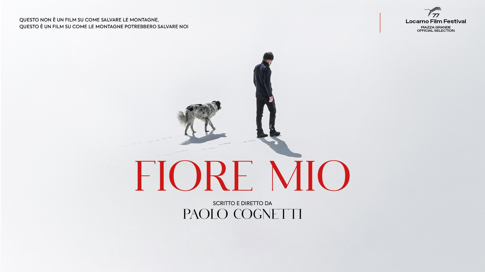 Carica il video: 