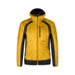 MUSTARD