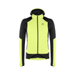 SUNNY LIME