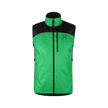 VIBE GREEN